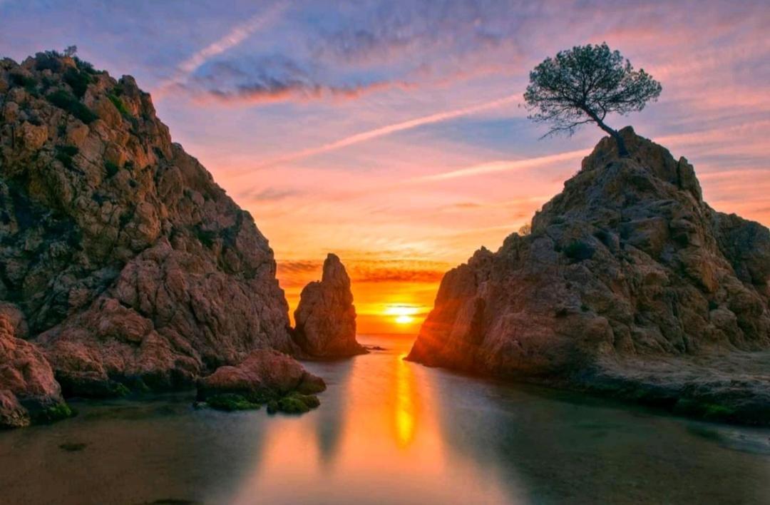 Portal 17 Can Tort Tossa de Mar Eksteriør bilde